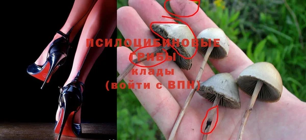 первитин Кодинск