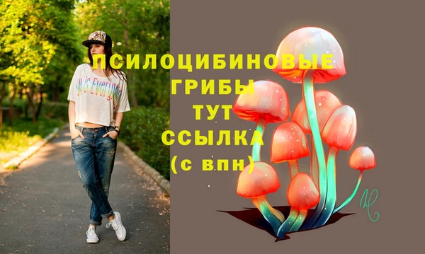 гашишное масло Козловка
