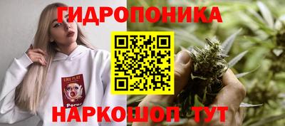 соль ск Кимры