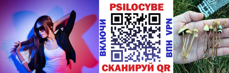 Галлюциногенные грибы Psilocybe  Лосино-Петровский 